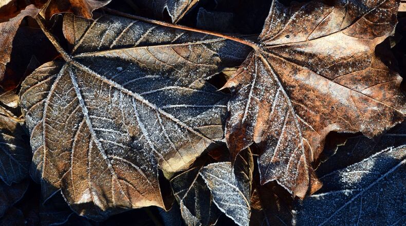 Tuesday Morning Patchy Frost Possible