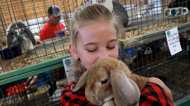 Shannon Stahler, 11, holds her rabbit Monday as she gets ready to show it Monday at the Champaign County Fair. BILL LACKEY/STAFF