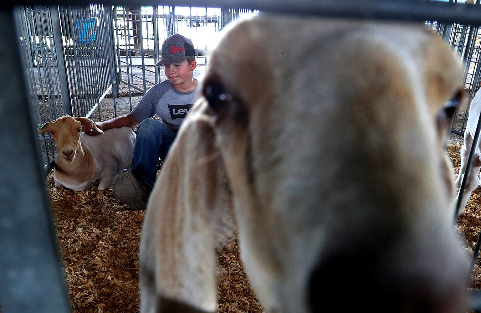 Champaign County Fair