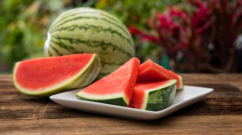 Watermelons grow on annual vine plants that creep along the ground attaining lengths of 6 to 10 feet. Their leaves form a canopy over the fruits. ISTOCK