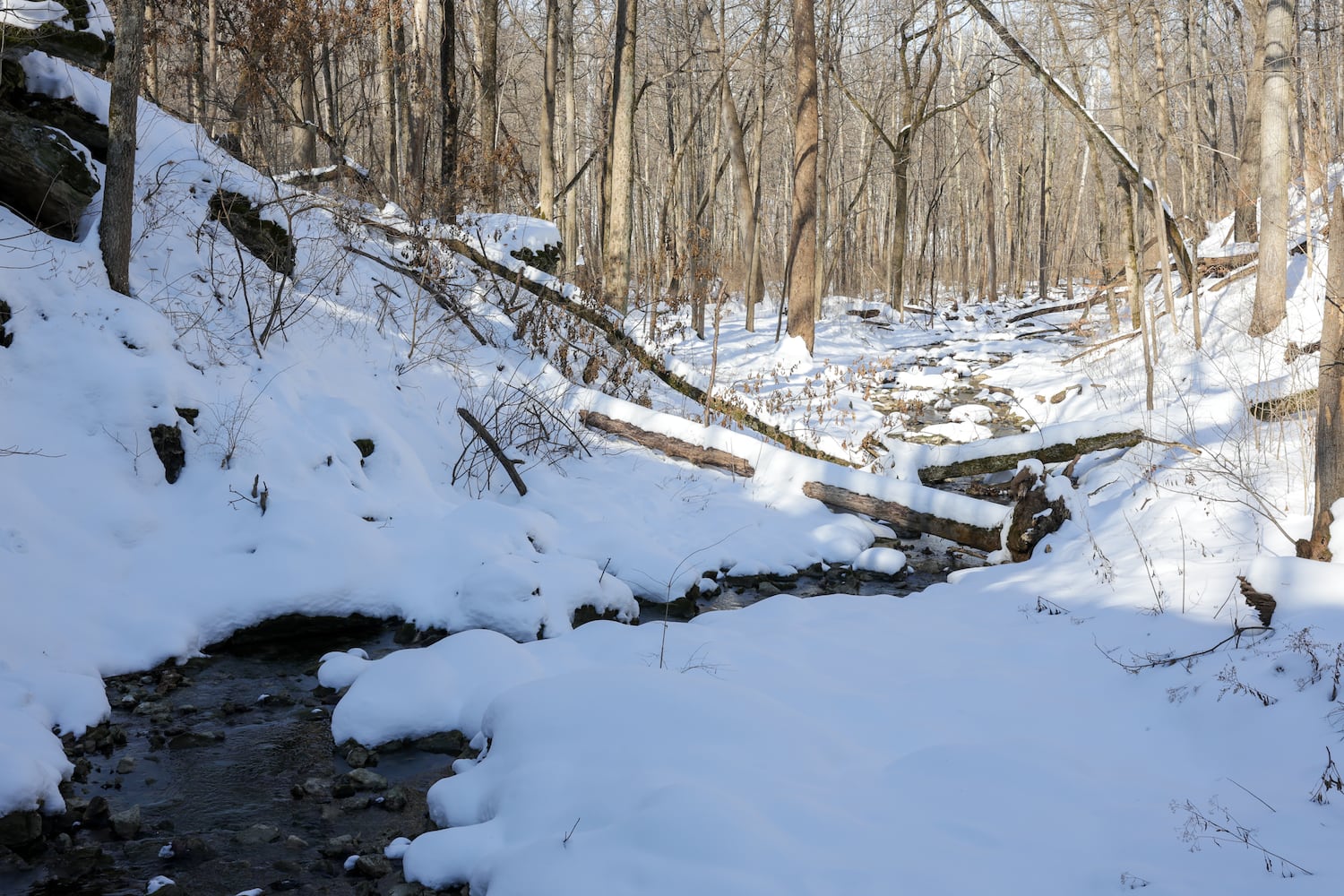 DDN 021026 Charleston Falls