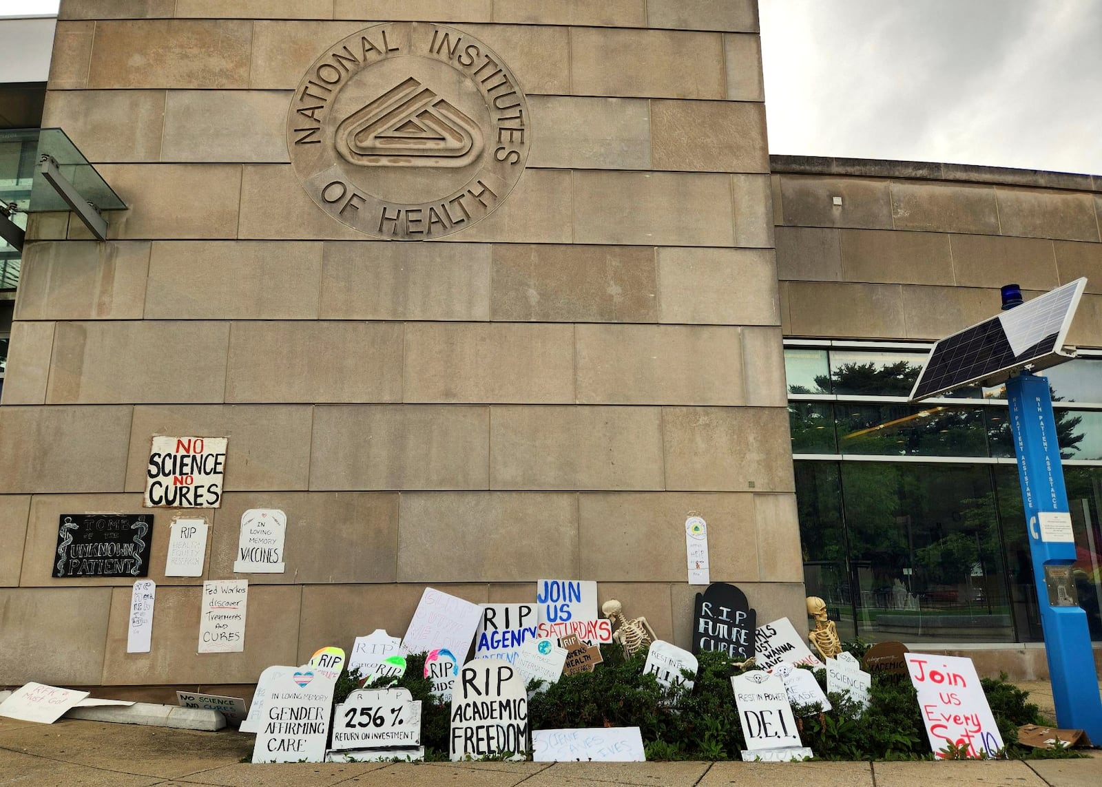 This photo obtained by The Associated Press shows cardboard tombstones symbolizing canceled research grants at the NIH Visitors Center in Bethesda, Md., Saturday, on June 7, 2025. (AP Photo)