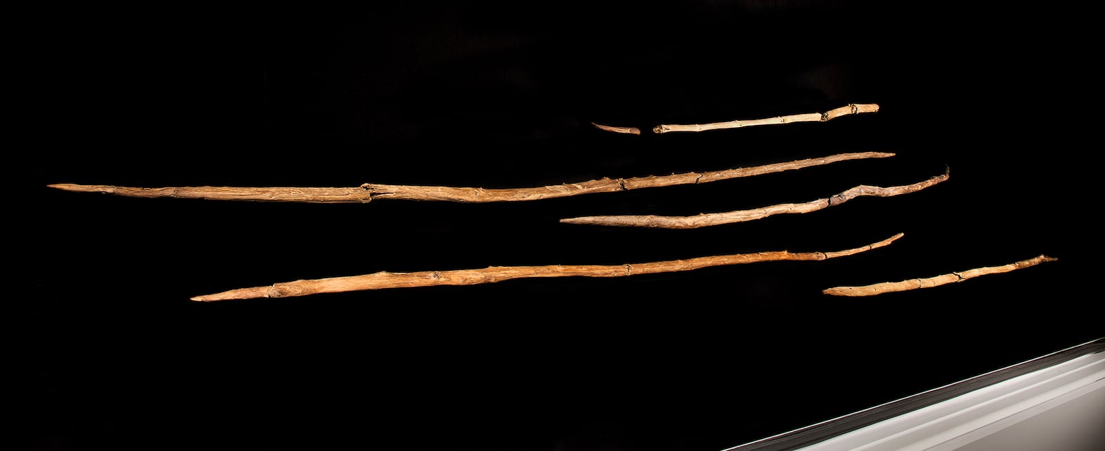 This 2014 photo provided by researchers shows a set of wooden hunting spears estimated to be about 200,000 years old discovered in a coal mine in the German town of Schöningen. (Volker Minkus/Niedersächsisches Landesamt für Denkmalpflege via AP)