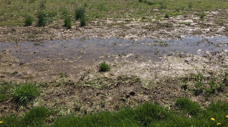Wet fields likes this one on the Matt Hundley farm near Eldorado in Preble County are keeping farmers from planting this spring. STAFF PHOTO / JAMES RIDER