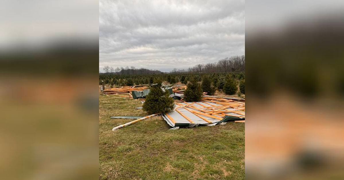 Barn at Young’s Jersey Dairy Christmas Tree Farm hit by severe storm
