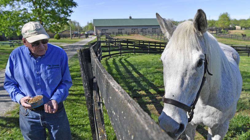 Michael Blowen, founder and retired president of Old Friends Farm, feeds Silver Charm ground up cookies at Old Friends Farm in Georgetown, Ky., Thursday, April 18, 2024. Silver Charm, the 1997 Kentucky Derby winner and at the age of 30, the oldest living Derby winner lives his life of retirement at the farm dedicated to retired thoroughbred race horses. (AP Photo/Timothy D. Easley)