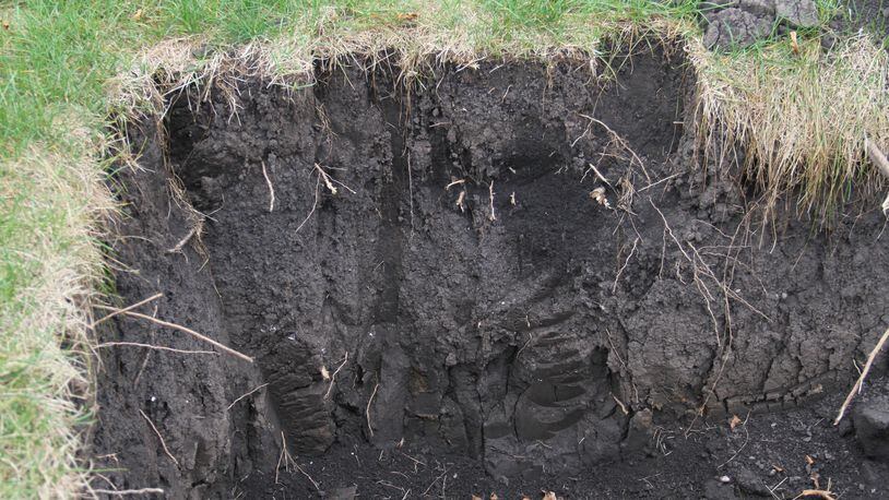 Undisturbed soils in our area may have up to 5 to 6 feet of rich topsoil such as that at Snyder Park Gardens & Arboretum in Springfield. CONTRIBUTED