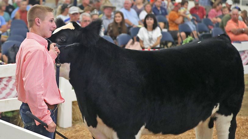 Drew Weymouth, 16, auctions off his Grand Champion Steer on Friday during the Jr. Fair Auction at the Clark County Fair. BILL LACKEY / STAFF