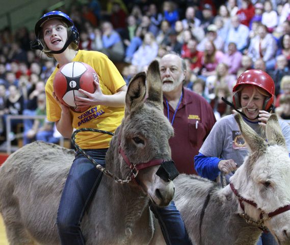 Donkey Basketball