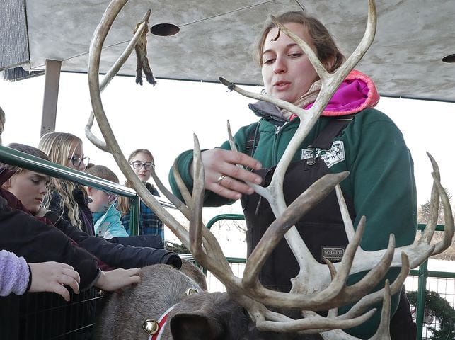 PHOTOS: Reindeers Visit South Vienna School